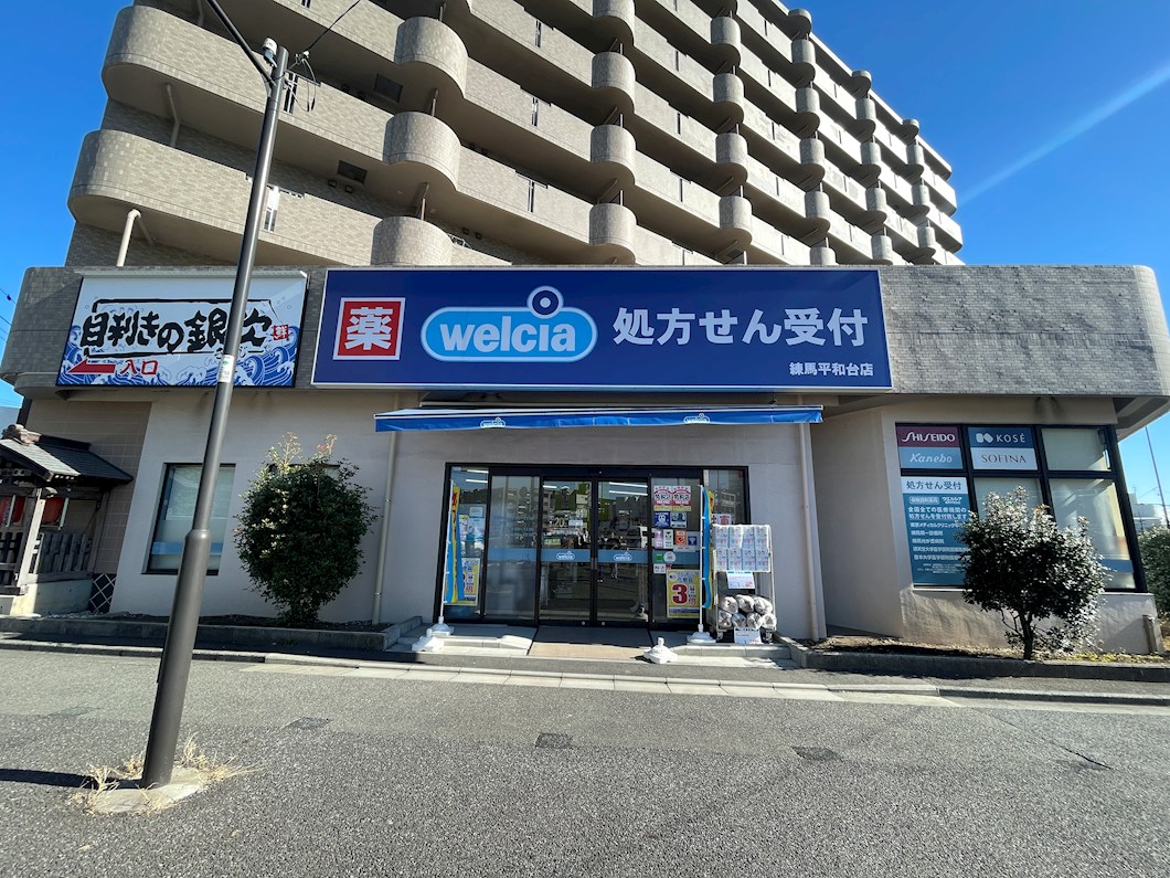 サン・フェロー ドラッグストア
