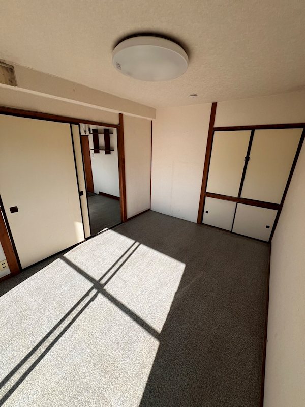 カネコマンション その他