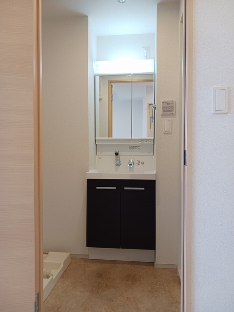 グランドルチェ駒込 洗面所