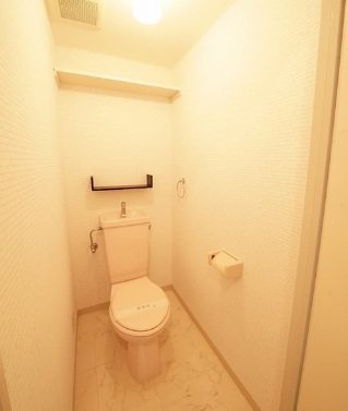 ビューテラス桂南 トイレ