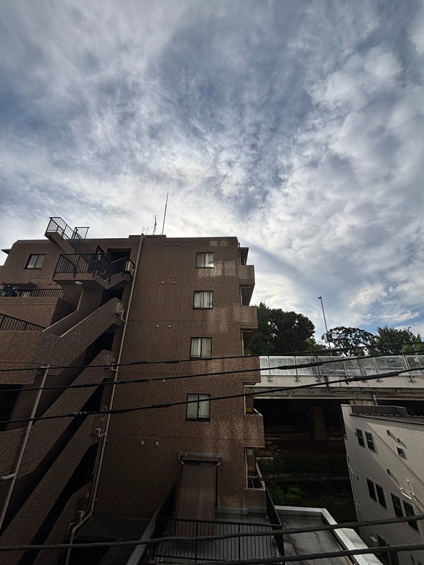 東京都文京区音羽１丁目 眺望
