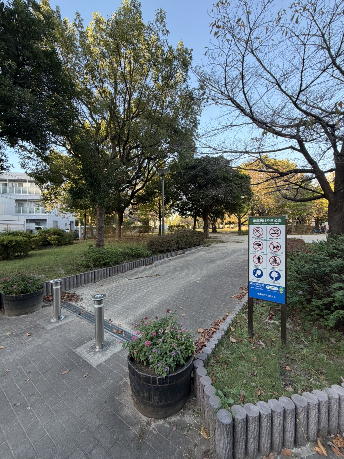 PLUM VILLAGE 公園