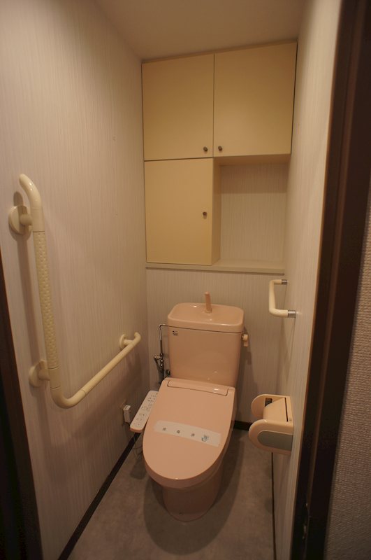 リラヴェルドミール その他8