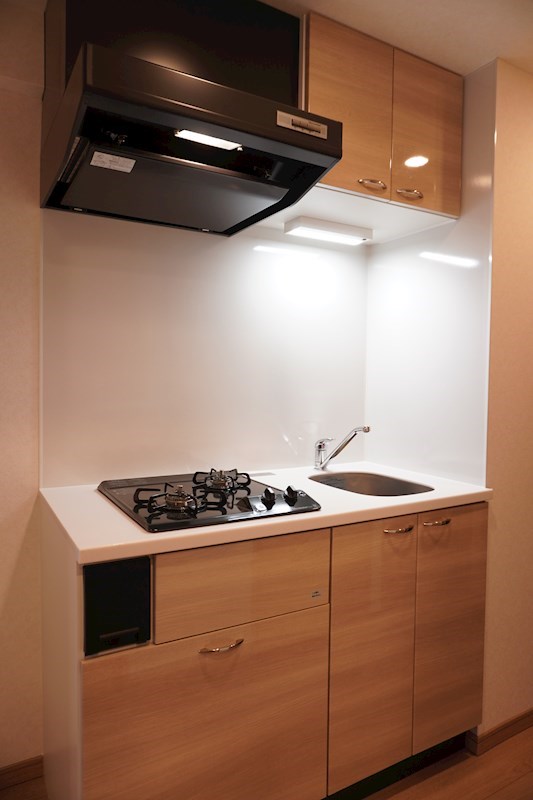 ルーブル川崎八番館 キッチン