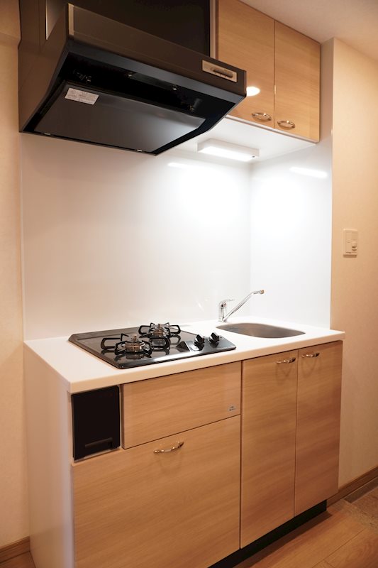 ルーブル川崎中丸子参番館 キッチン