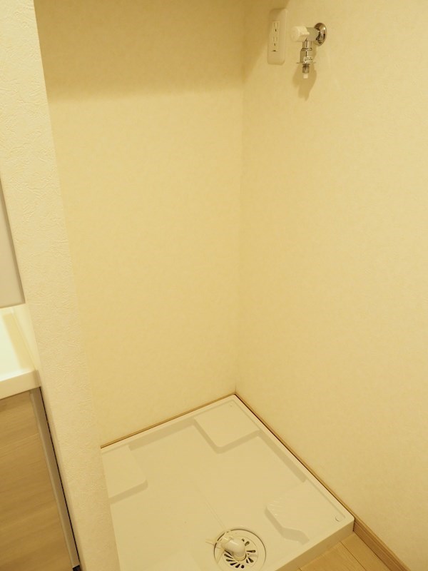 ルーブル川崎中丸子弐番館 洗面所