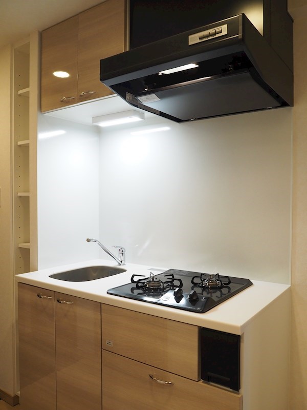 ルーブル川崎中丸子弐番館 キッチン