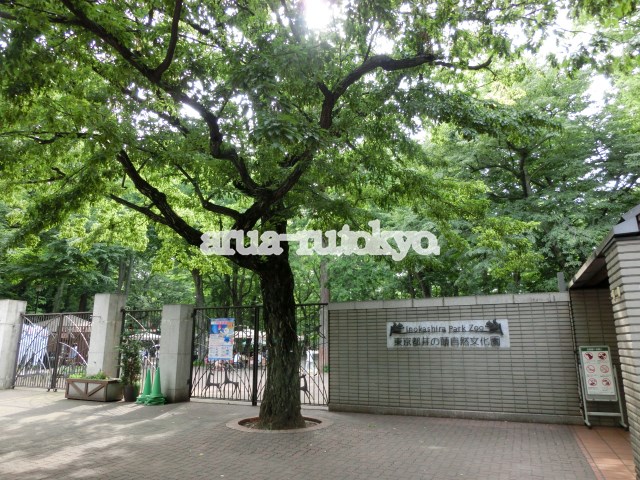 PAL井の頭 その他