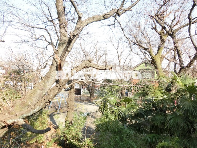 ドルチェ吉祥寺 その他