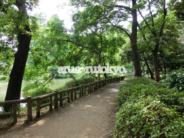 ドルチェ吉祥寺 公園