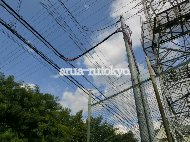 ハウスマルキ 眺望