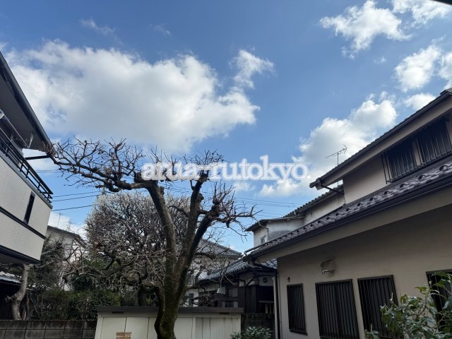 フラット松庵 眺望
