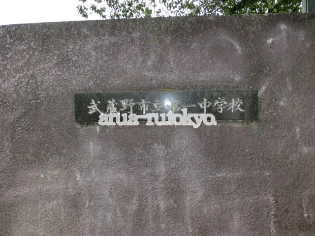 Residenz 吉祥寺  中学校