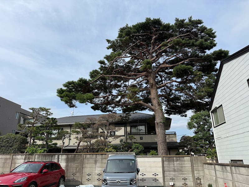 荻窪駐車場 その他