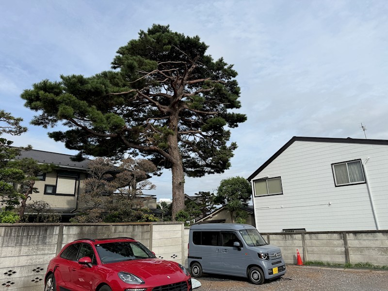 荻窪駐車場 その他