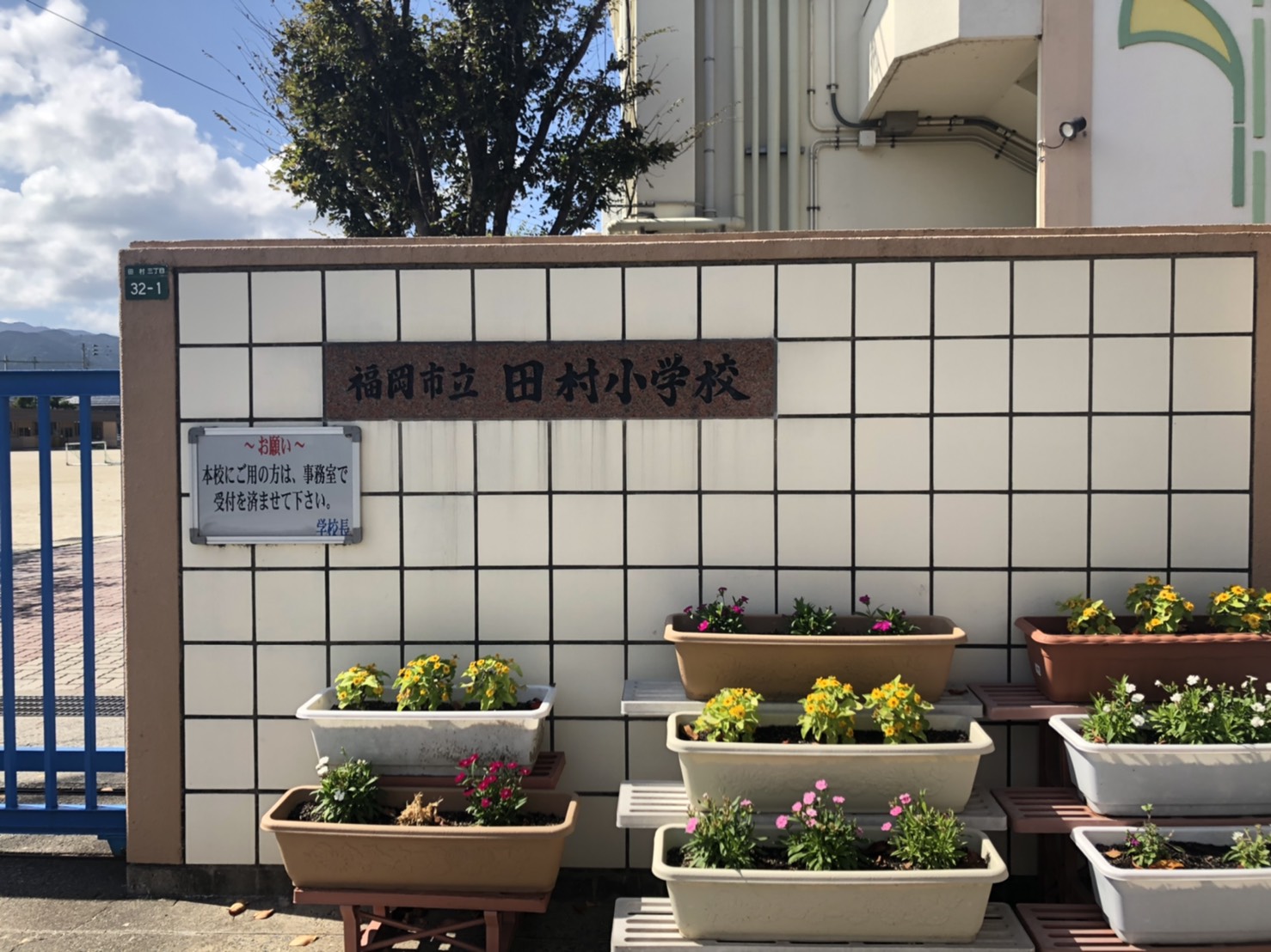 コンフォール 小学校