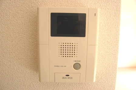 マルワシャルマンⅢ その他3