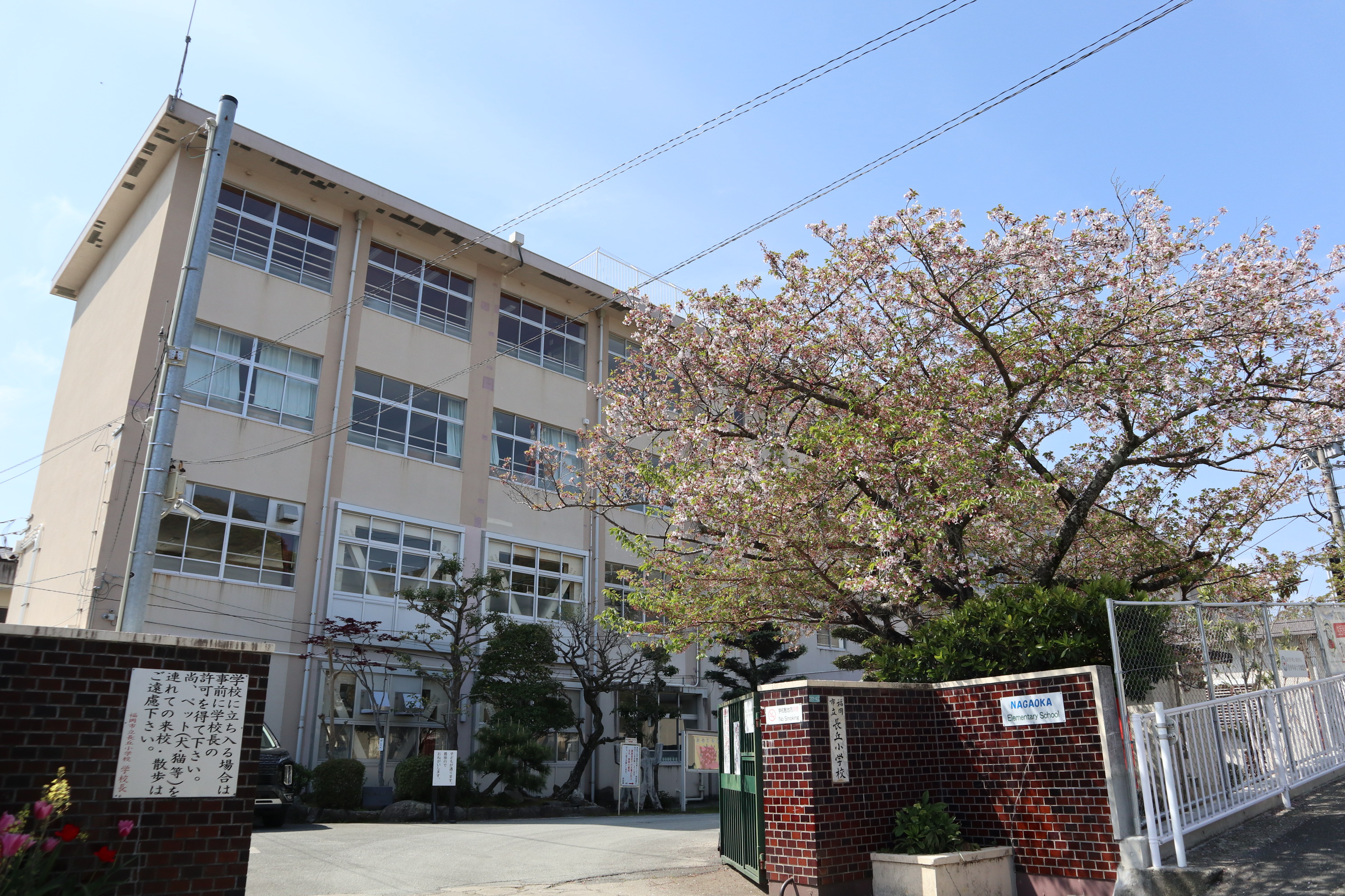 アヴァンセ長丘 小学校