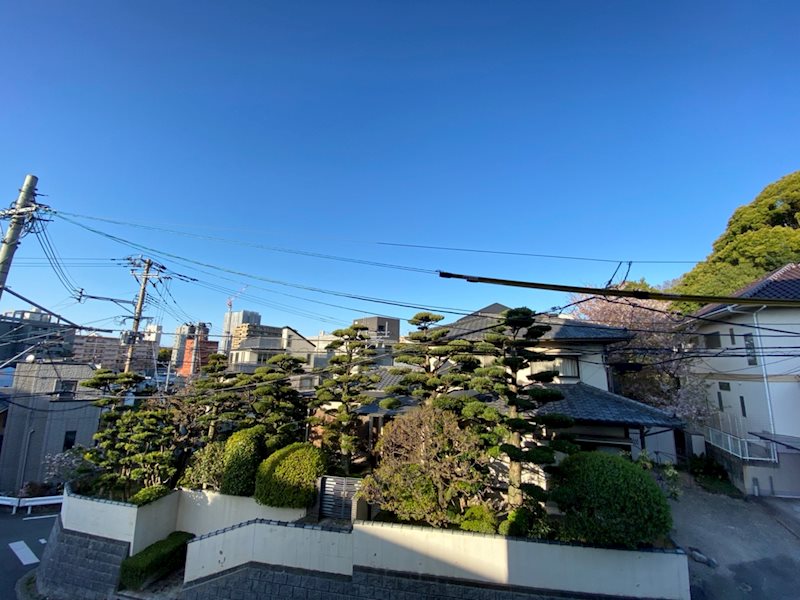 セントレアヒルズ　ふくろうの森 眺望