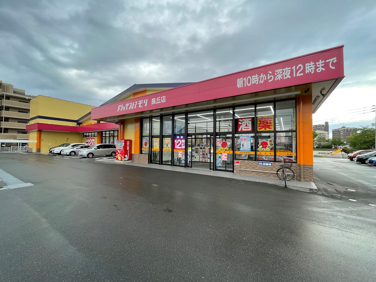 田舎烹ビル ドラッグストア