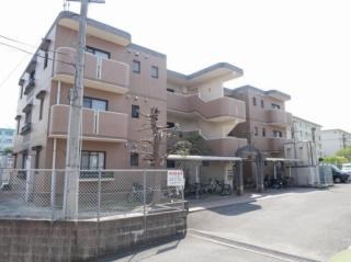ペーシュ金山 外観