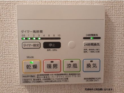 エヴァーグリーン その他