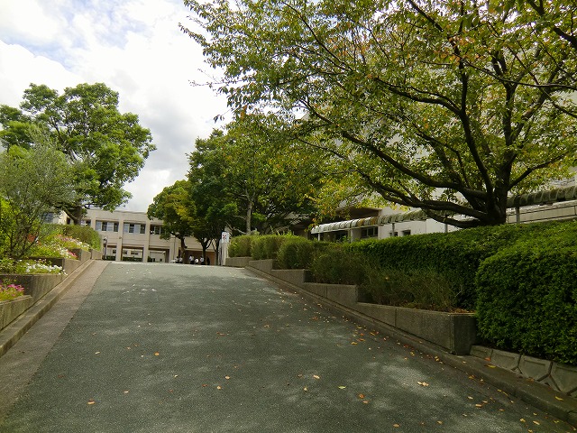 山茶花Sue  A棟  中学校