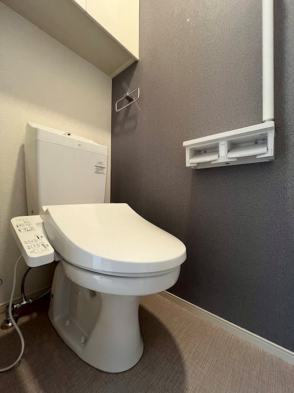 ウェルシュガーデンⅡ トイレ