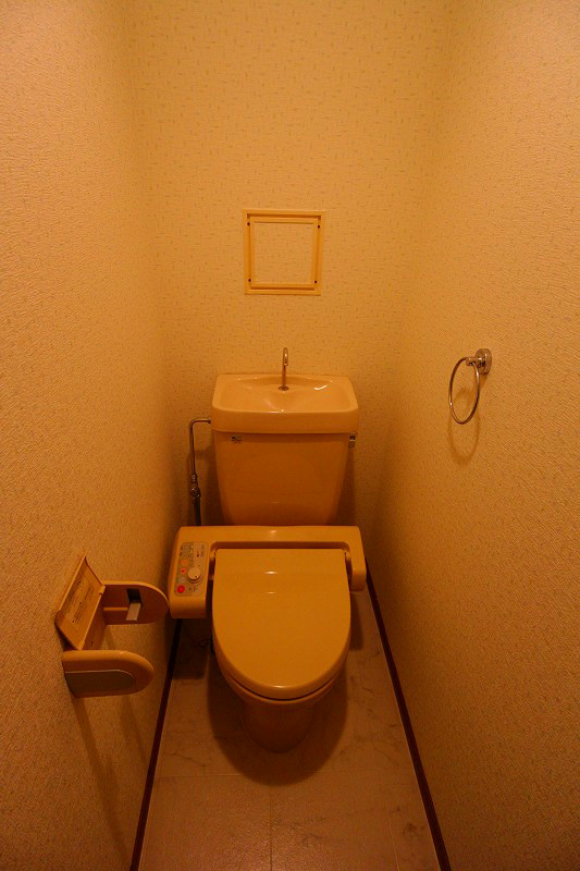 シャトレ弐番館  トイレ