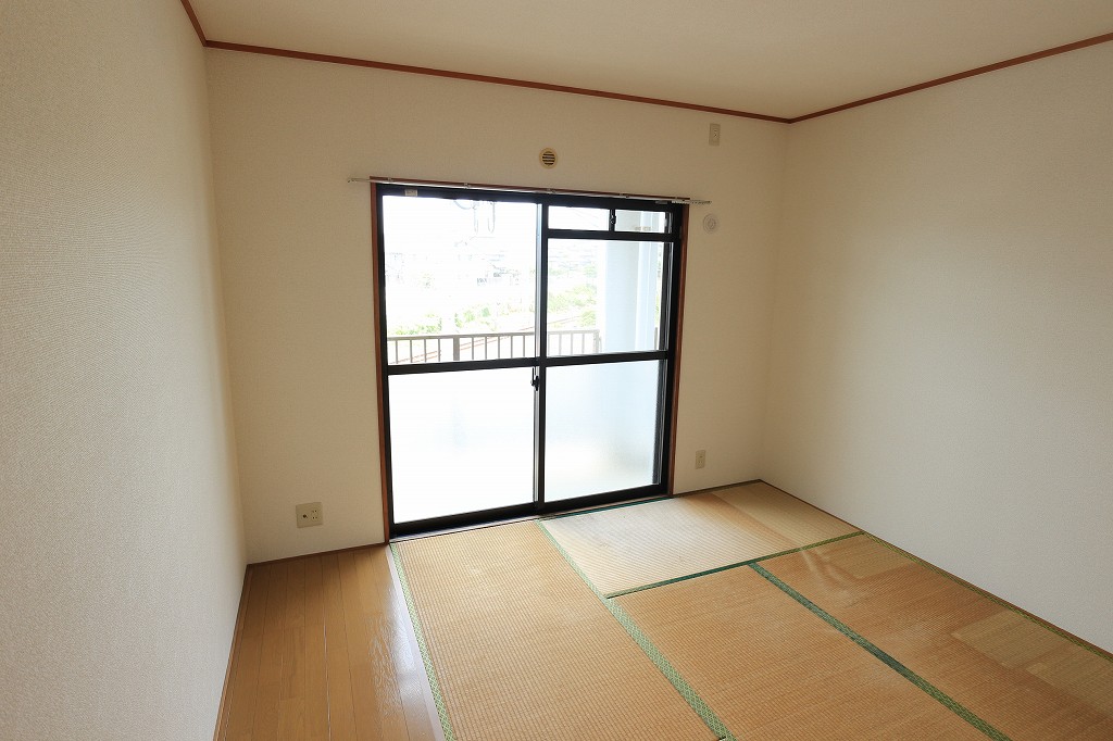 アマランスキノ  その他