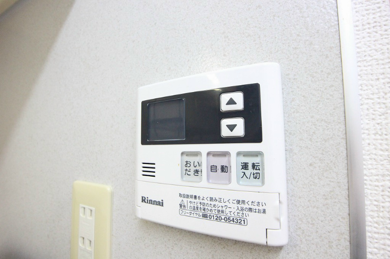 アンシェラ形貝E その他5