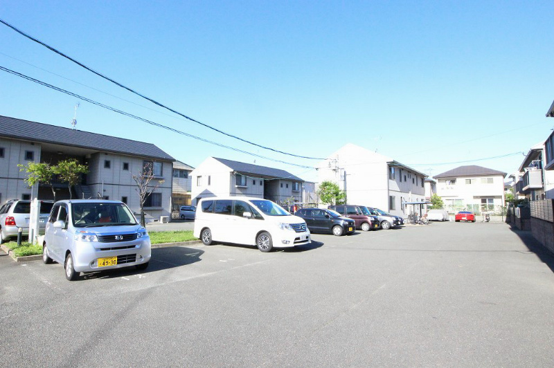 アンシェラ形貝E その他外観1
