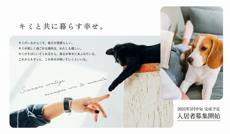 quador Contigo平和 収納