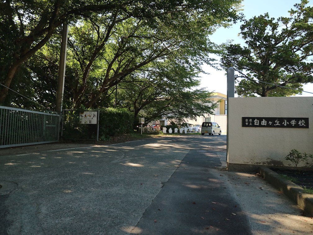 自由ヶ丘ヒルズ桜  小学校