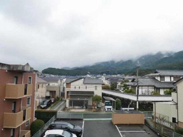 ツインズ 眺望