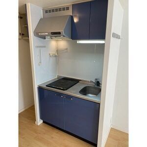 エクセレンシア天神 キッチン