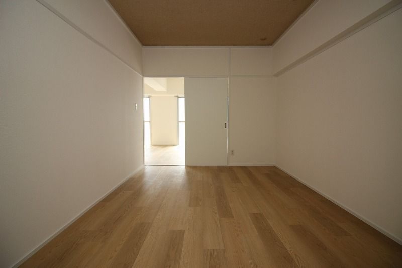 ステラ向野 その他