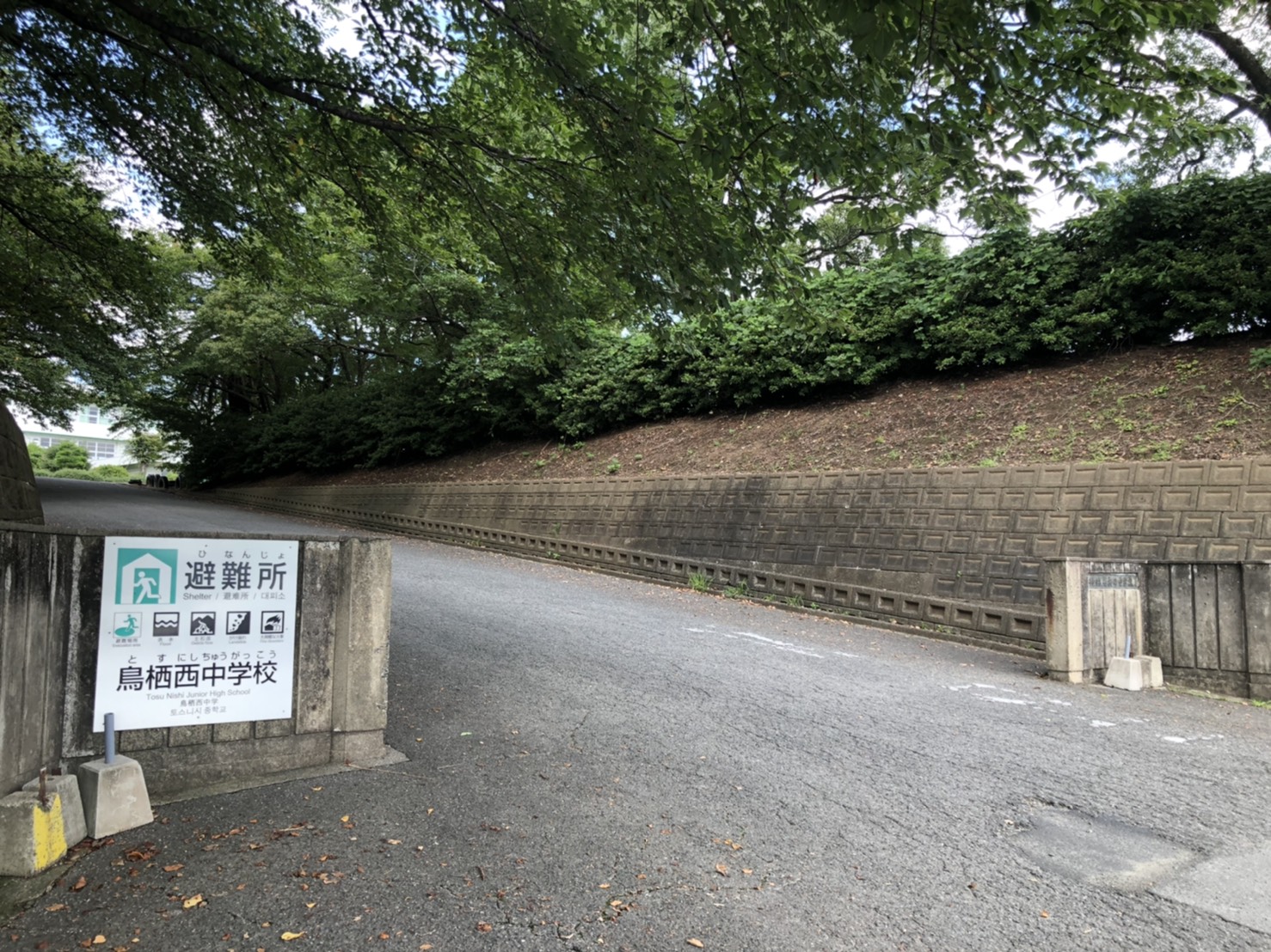 ステラ蔵上 中学校