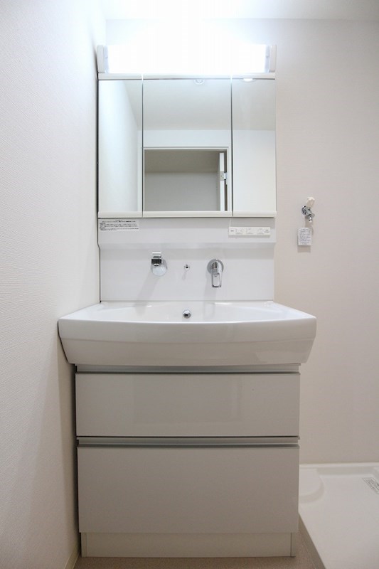 エルヴィータ駅南 洗面所
