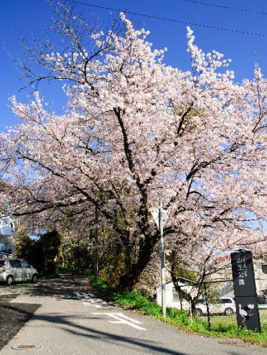 ヴィクトリア博多 公園