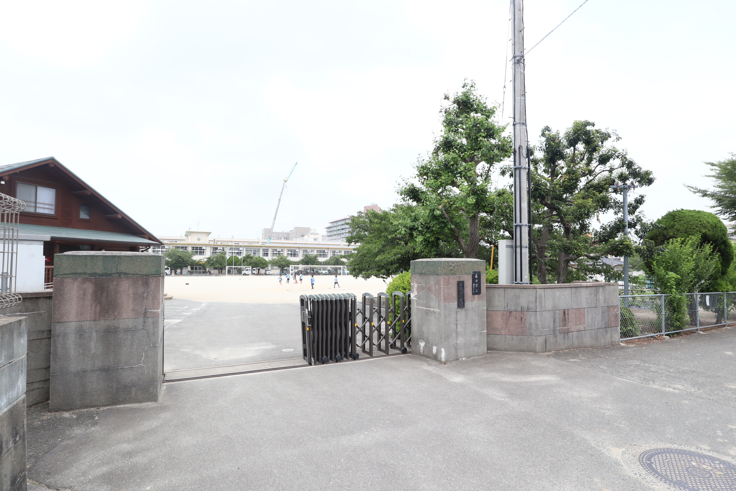 ディナスティⅢ  小学校