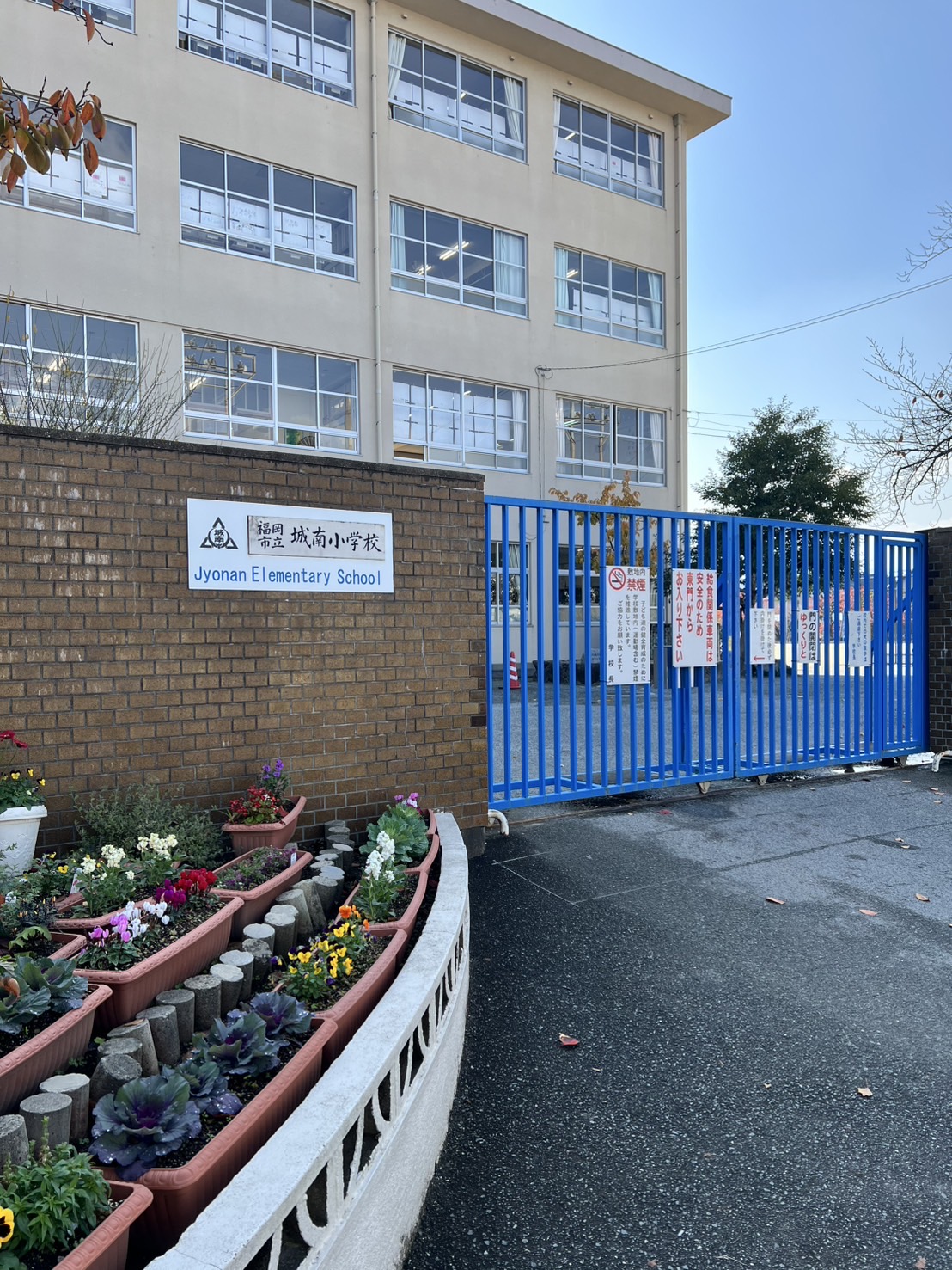 エルメゾン荒江 小学校