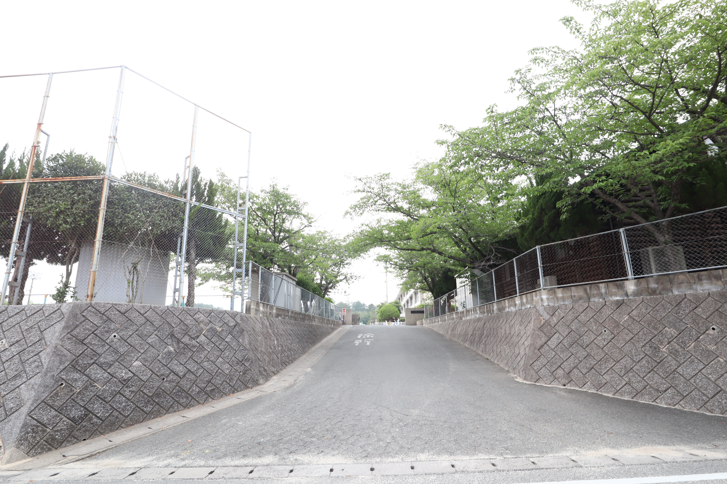 エルブ・ソヴァージュ 小学校