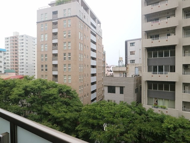 MJR赤坂けやき通り 眺望
