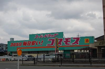 ロイヤルヒルズ美和台 ドラッグストア