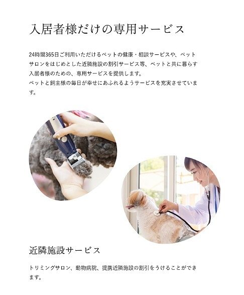 quador Contigo平和 トイレ