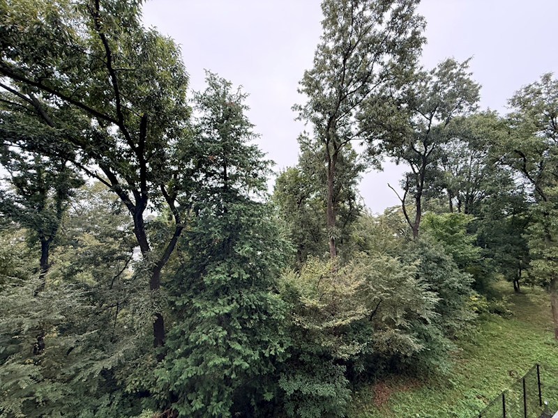 ウエリス仙川調布の森 その他9