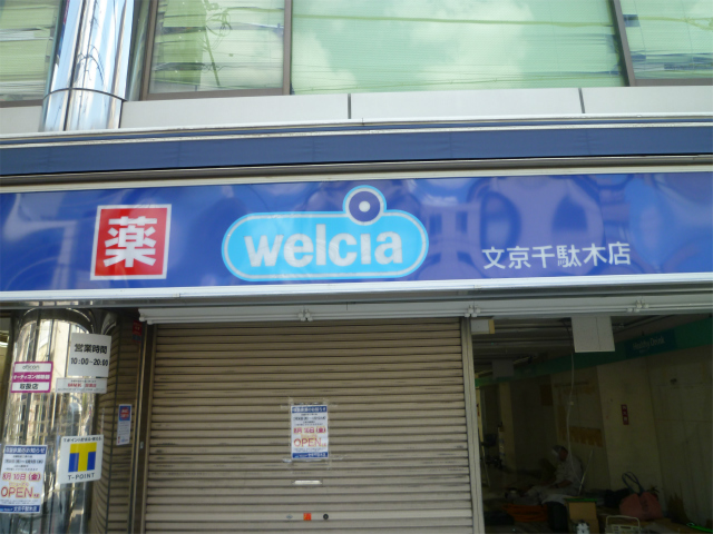 コンコード千駄木 ドラッグストア