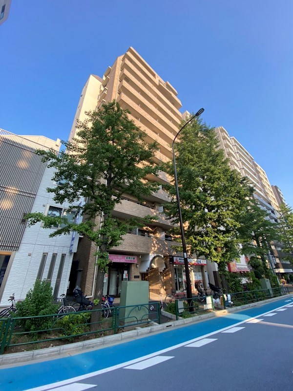 シルバープラザ白山 外観