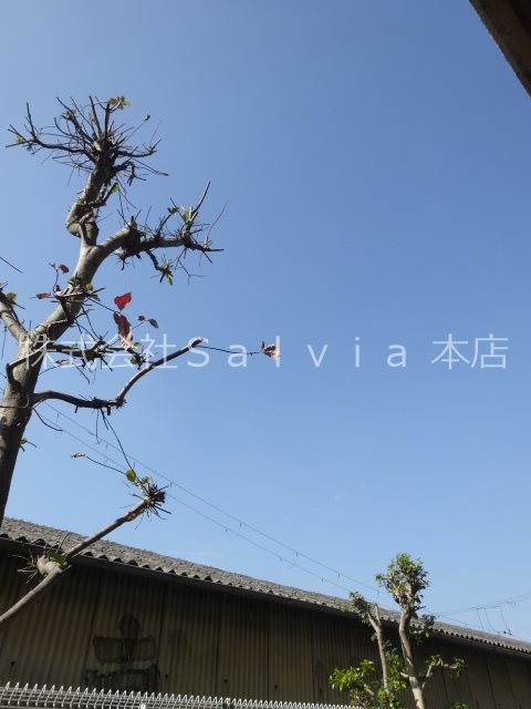 ピソ・キタノ 眺望